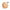 SP05