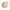 SP06